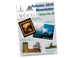 newsletters-2010-A-200x250